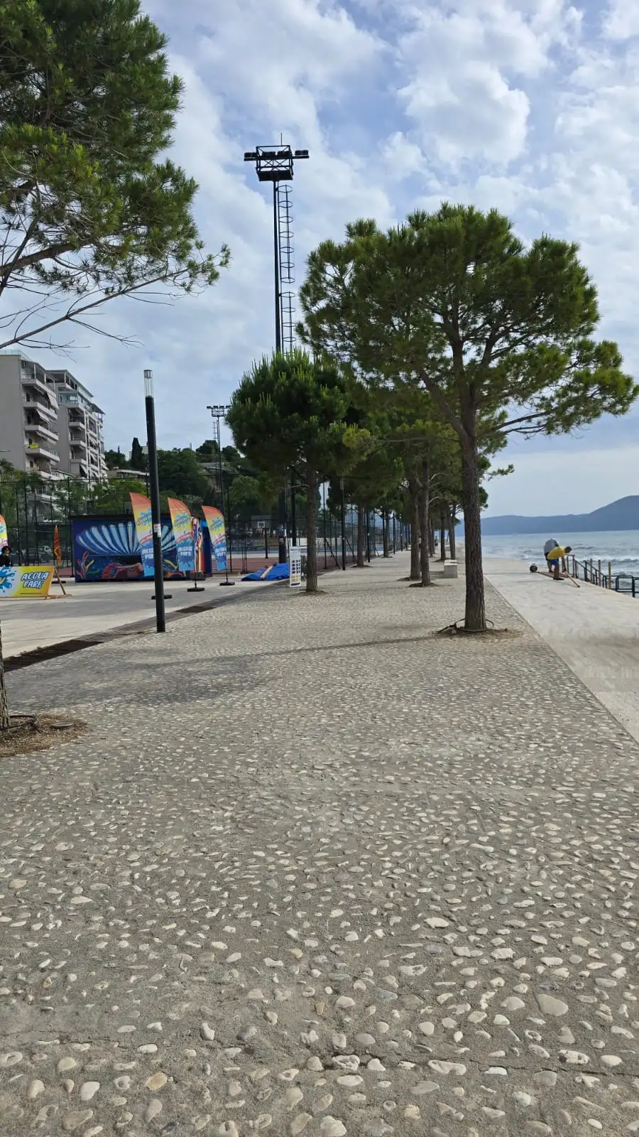 img_id_531985.08.38 (1).webp